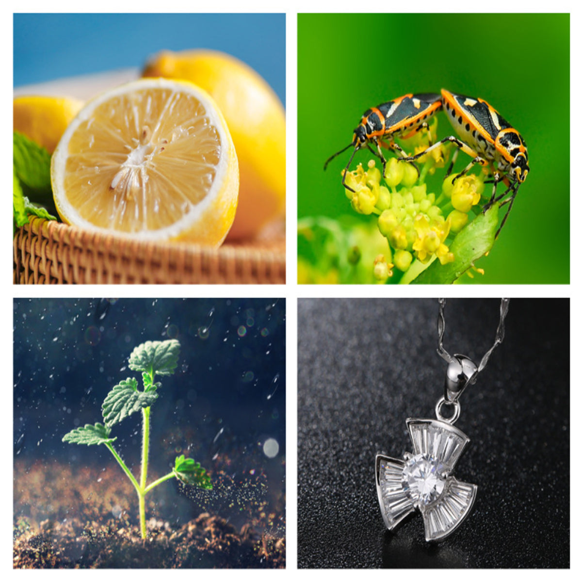12 in 1 Phone Photography Bundle