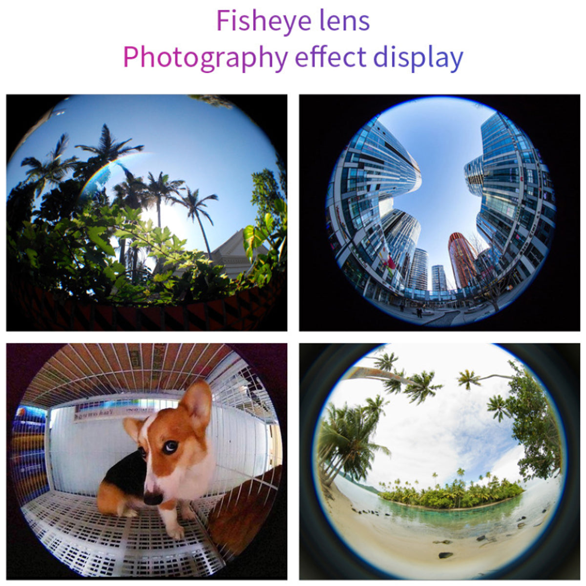 12 in 1 Phone Photography Bundle