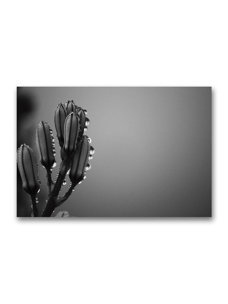 Wet Onion-leaved Asphodel Poster -Image by Shutterstock