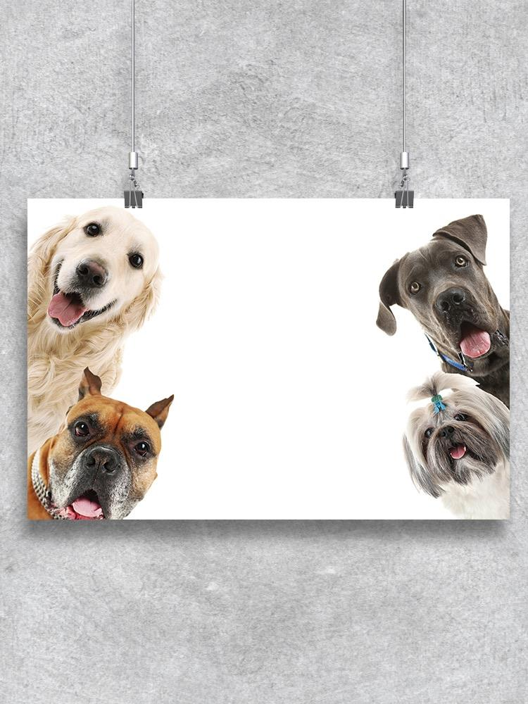 Dogs Smiling Poster -Image by Shutterstock