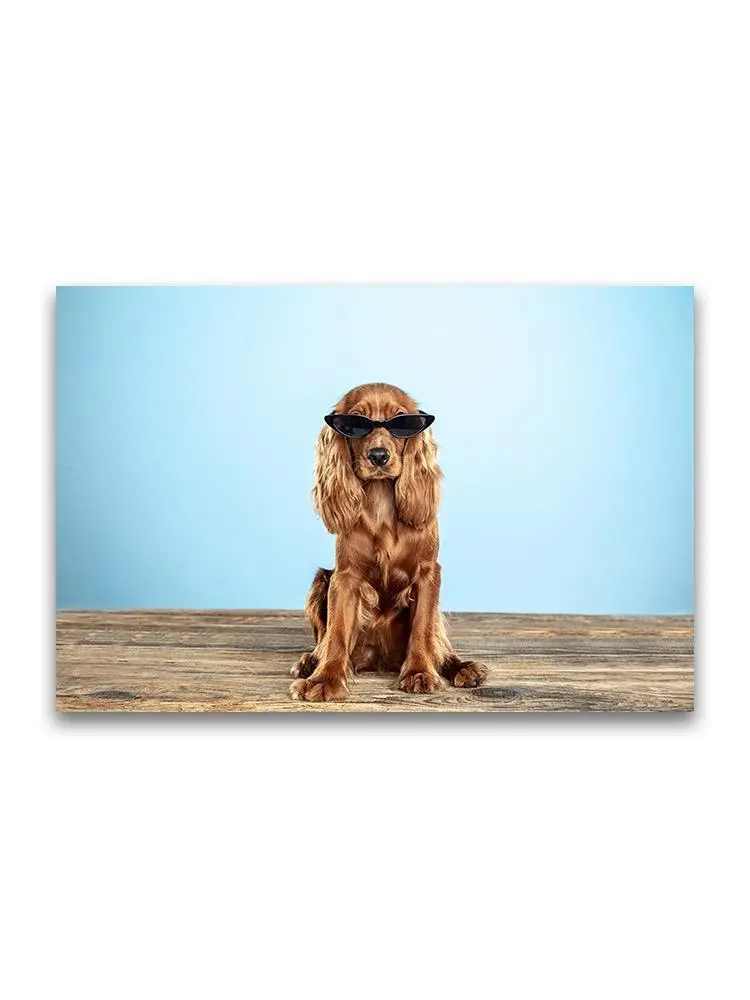 Cool Spaniel Dog In Sunglasses Poster -Image by Shutterstock