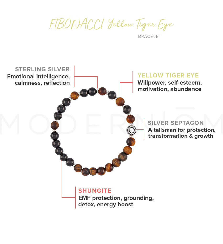 Shungite FIBONACCI Tiger Eye Bracelet