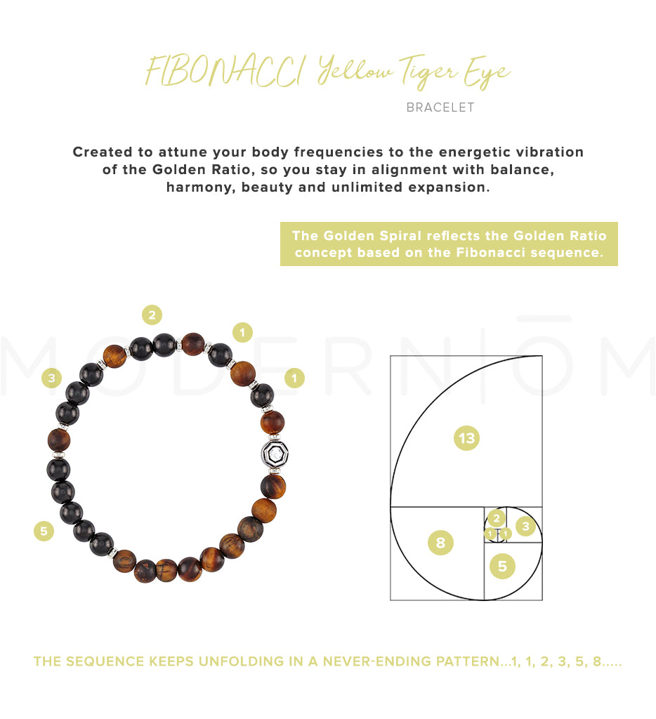 Shungite FIBONACCI Tiger Eye Bracelet