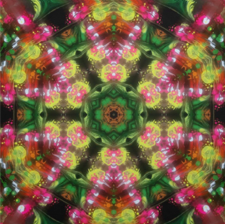 Kaleidoscope Trail_ Alejandro Gordillo_ Deluxe Square Canvas 1.5in Frame