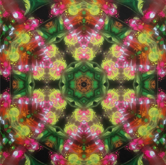 Kaleidoscope Trail_ Alejandro Gordillo_ Deluxe Square Canvas 1.5in Frame